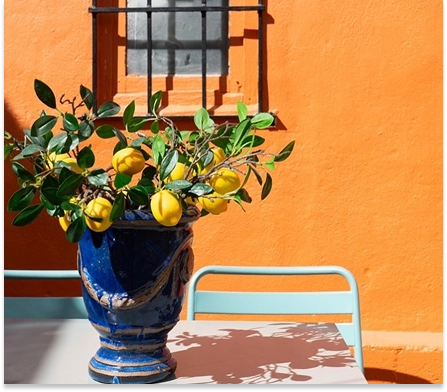 Terrasse d'Italova : vase bleu garni de citrons sur une table devant un mur orange
